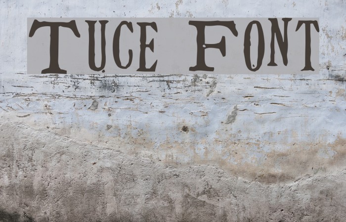 Tuce Font examples