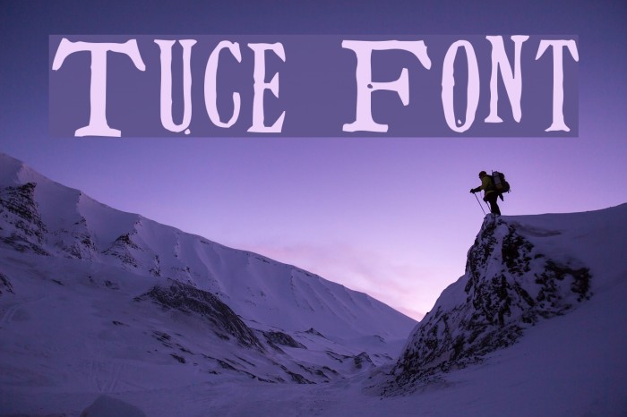 Tuce Font examples