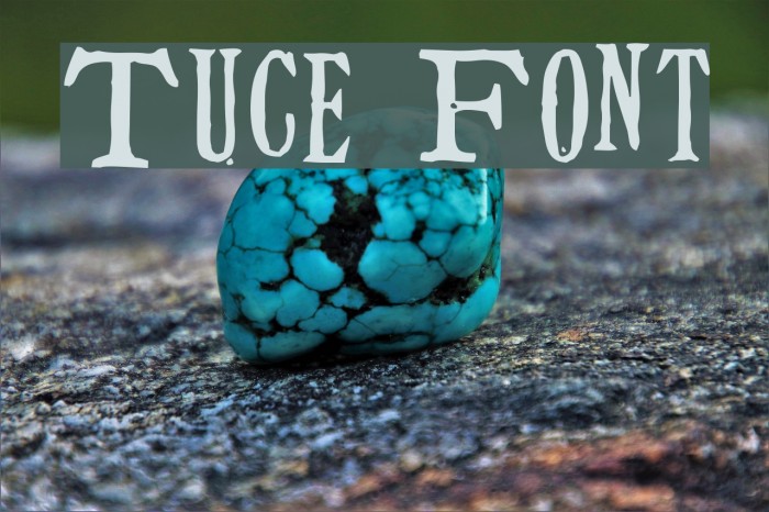 Tuce Font examples
