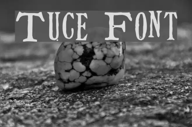Tuce フォント examples