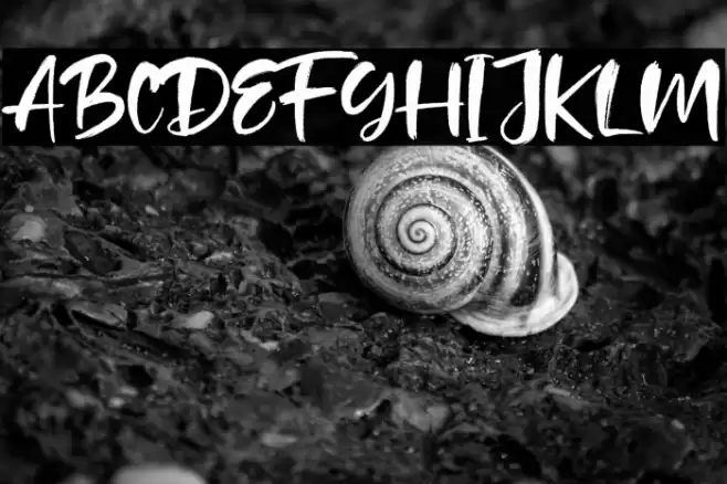 Tuckers Font examples