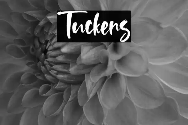 Tuckers Font examples