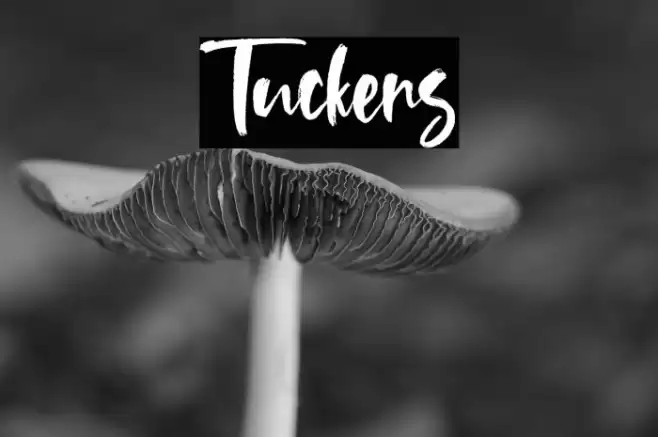 Tuckers Font examples