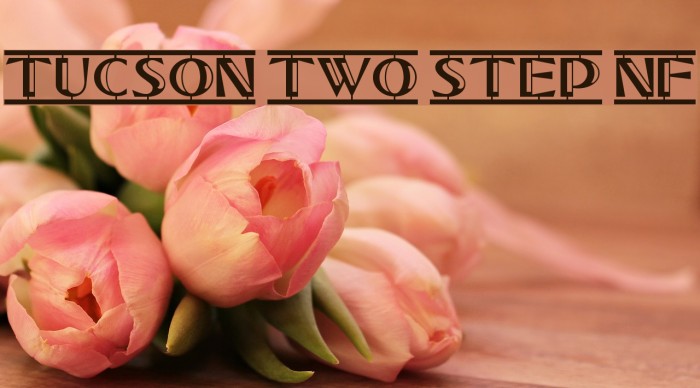 Tucson Two Step NF Schriftart examples