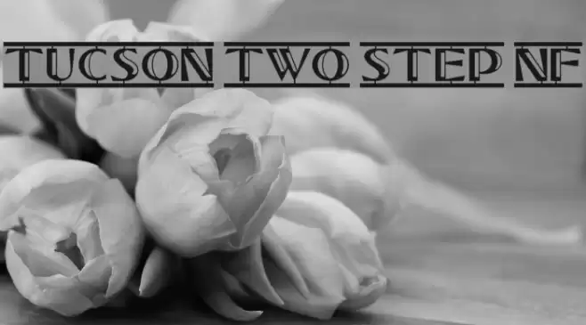 Tucson Two Step NF Schriftart examples