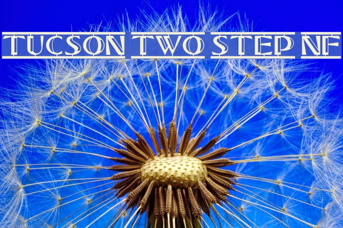 Tucson Two Step NF Schriftart examples
