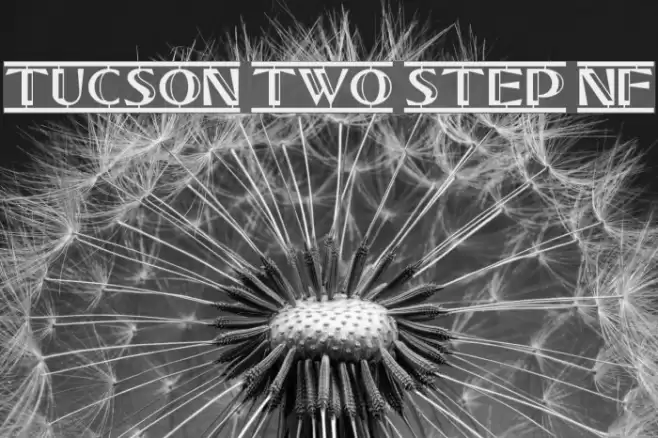 Tucson Two Step NF Schriftart examples