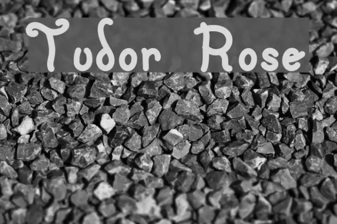 Tudor Rose Font examples