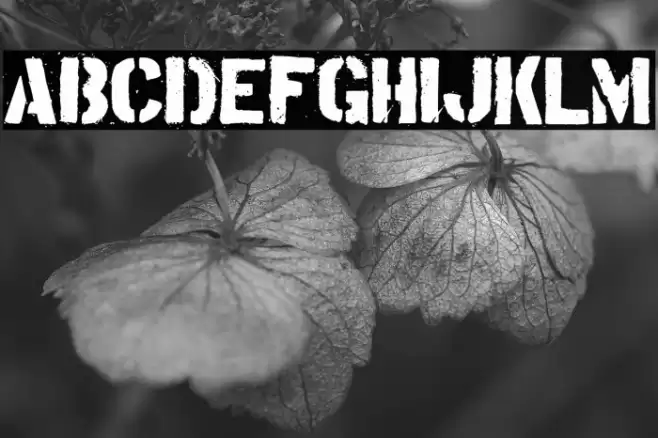 Tudor Victors Font examples