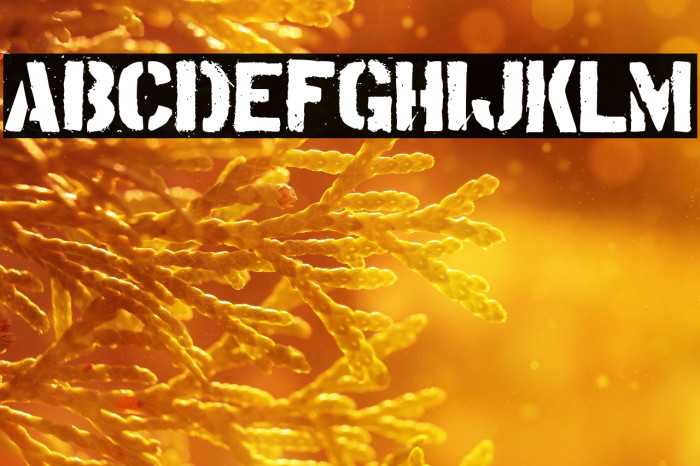 Tudor Victors Example 3