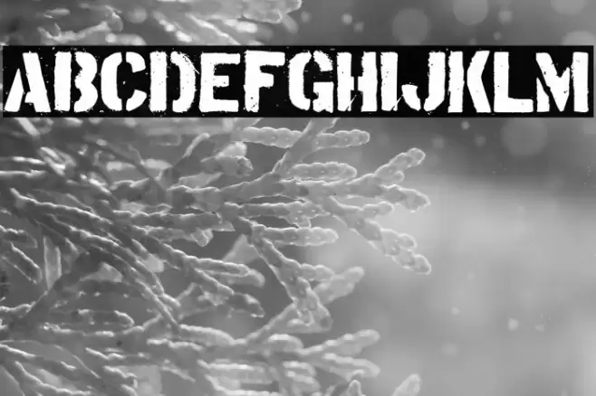 Tudor Victors Font examples