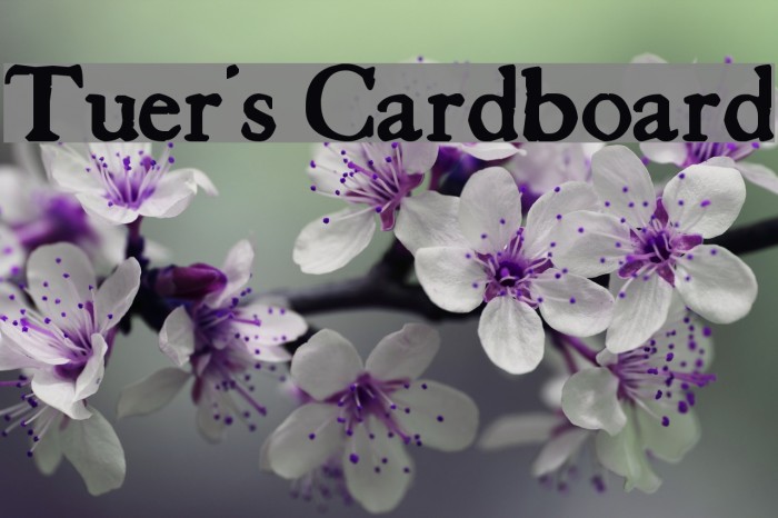 Tuer's Cardboard Font examples