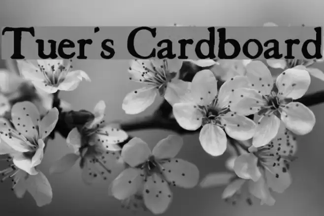 Tuer's Cardboard  examples