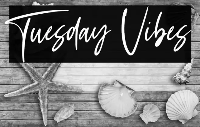 Tuesday Vibes Font examples