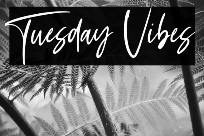 Tuesday Vibes Font examples
