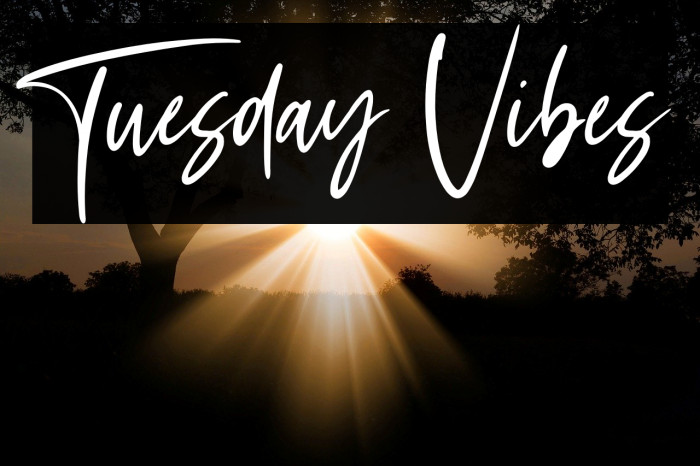 Tuesday Vibes Font examples