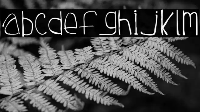 Tuesday Font examples