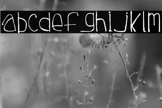 Tuesday Font examples