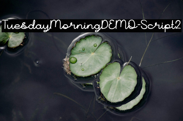 TuesdayMorningDEMO-Script2 Example 2