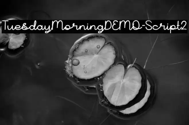 TuesdayMorningDEMO-Script2 Font examples