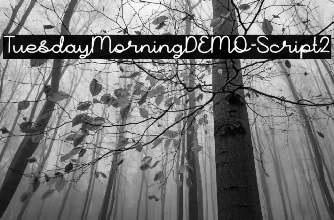 TuesdayMorningDEMO-Script2 Font examples