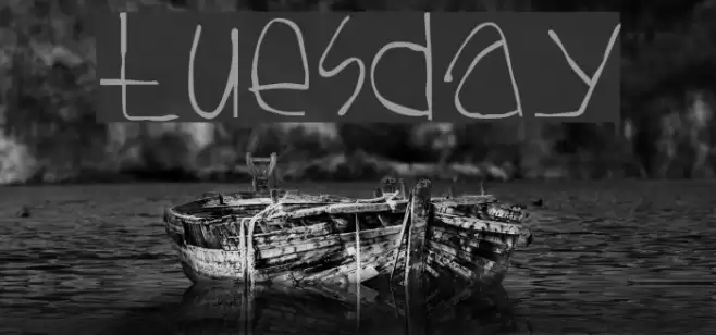 Tuesday Fuentes examples