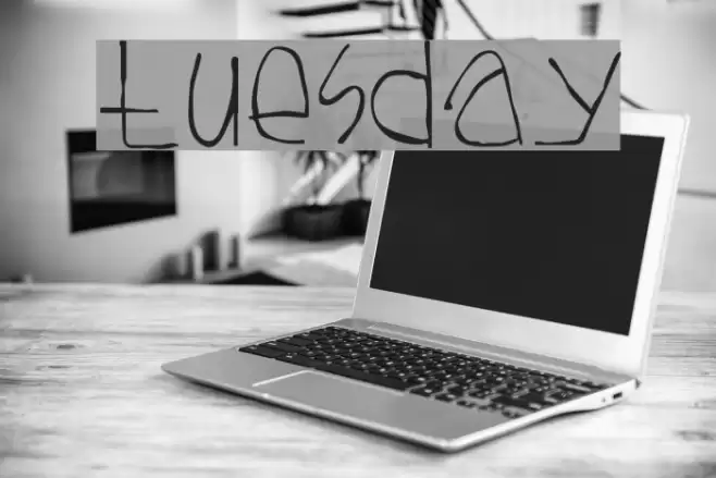 Tuesday Fuentes examples