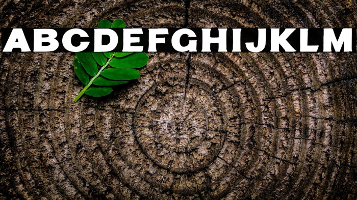 Tuff Stuff Example 2