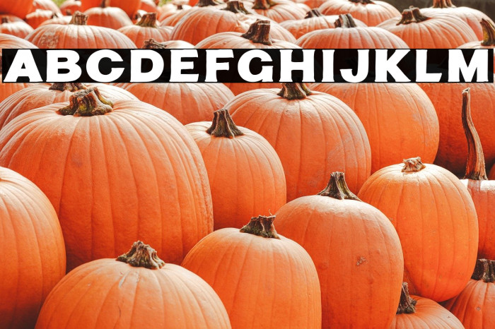 Tuff Stuff Example 3