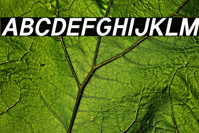 Tuffy Bold Italic Example 3