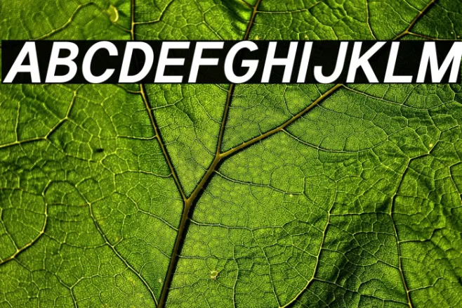Tuffy Bold Italic Example 3