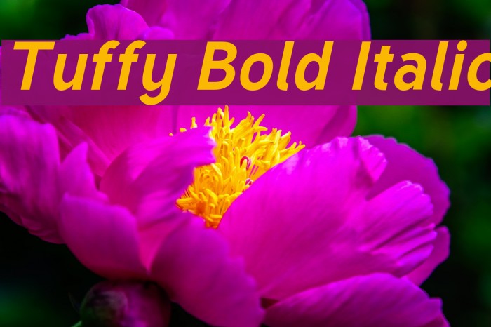 Tuffy Bold Italic Font examples
