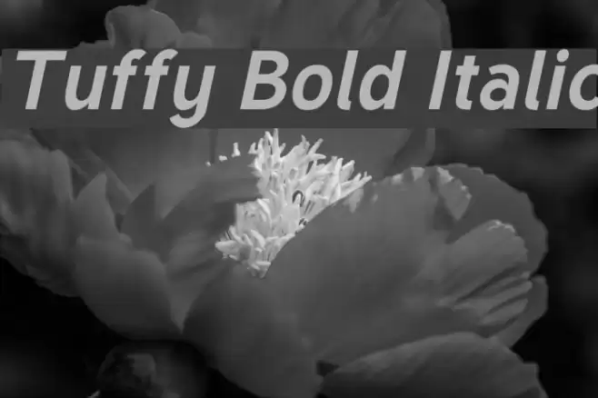 Tuffy Bold Italic Шрифта examples