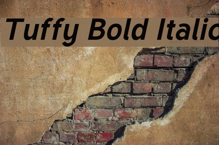 Tuffy Bold Italic Font examples