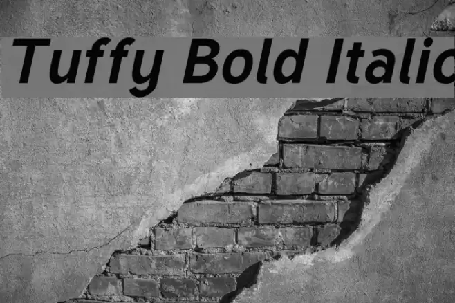 Tuffy Bold Italic Шрифта examples