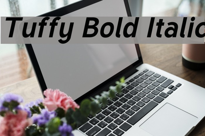 Tuffy Bold Italic Font examples