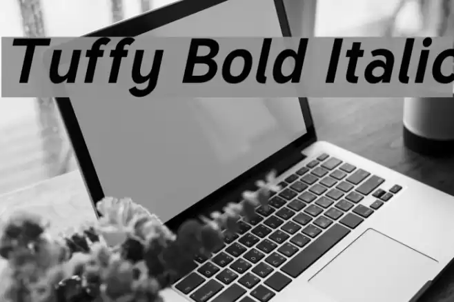 Tuffy Bold Italic Шрифта examples