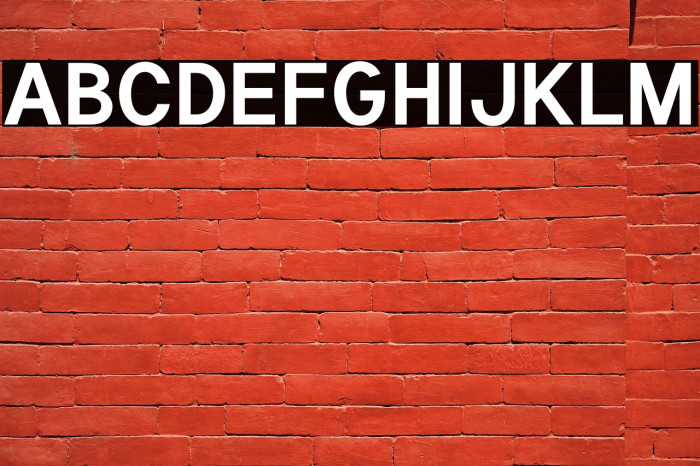 Tuffy Bold Example 2