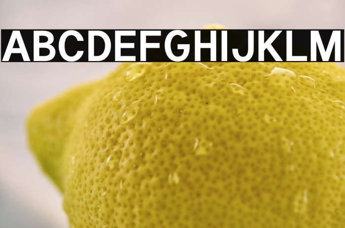 Tuffy Bold Example 3