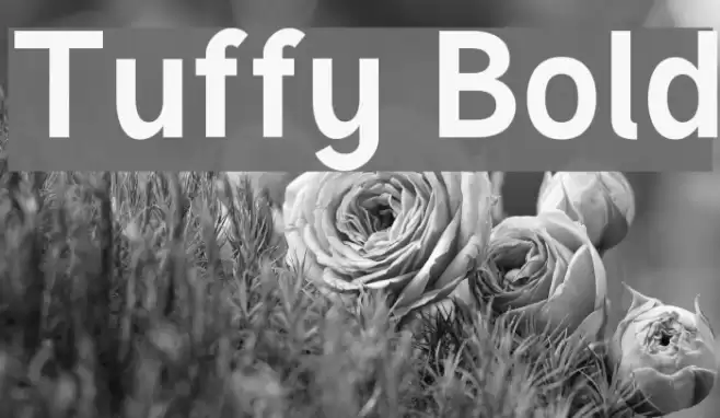 Tuffy Bold Font examples