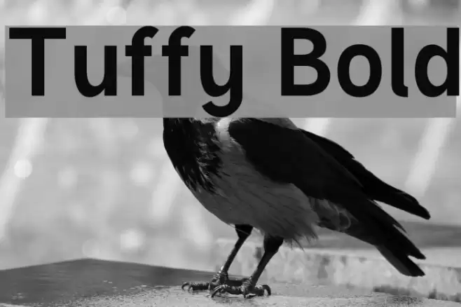 Tuffy Bold Font examples