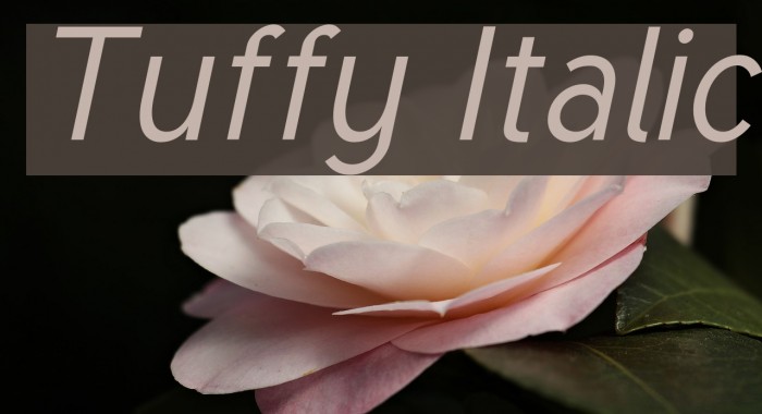 Tuffy Italic Font examples