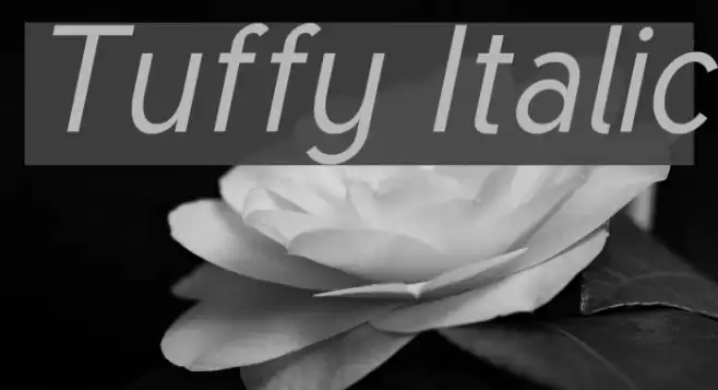 Tuffy Italic خط examples