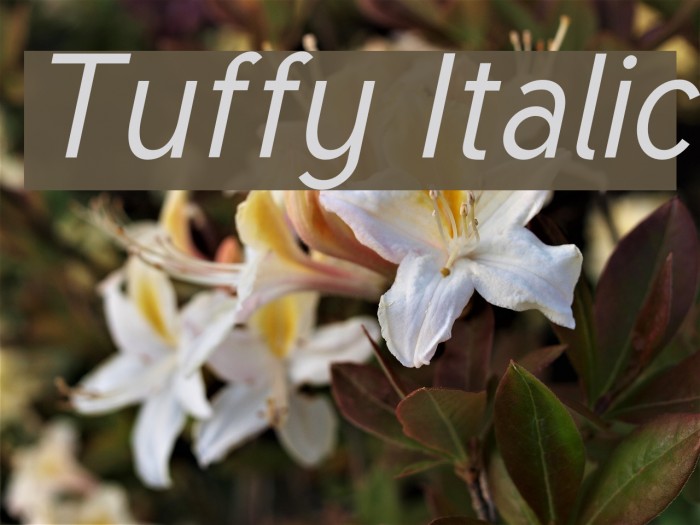 Tuffy Italic Font examples