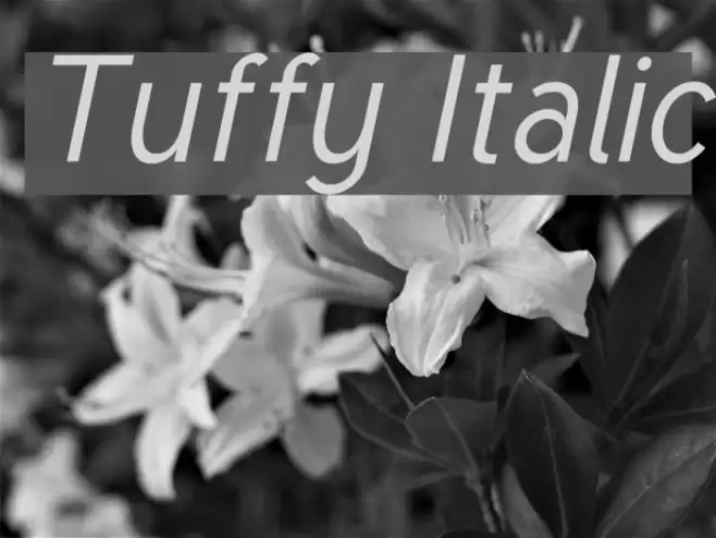Tuffy Italic خط examples