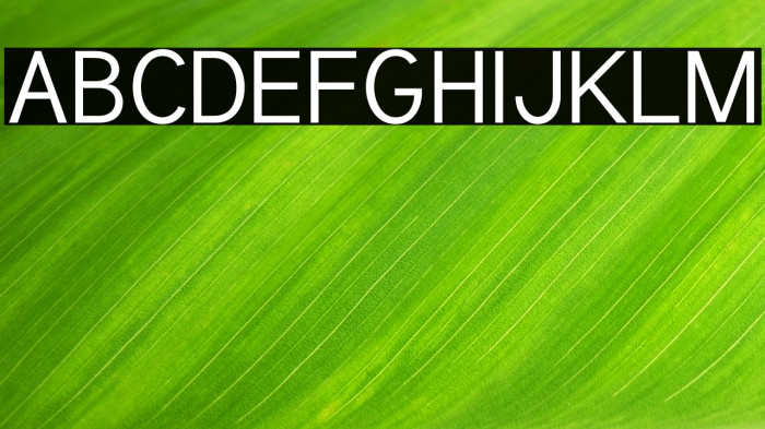 Tuffy Regular Example 1