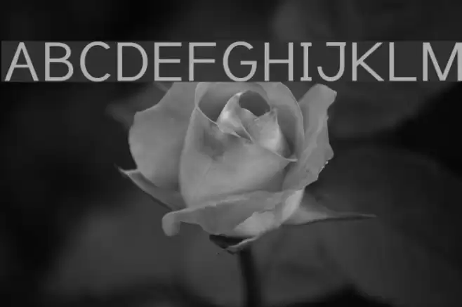 TuffyScript-Regular Font examples