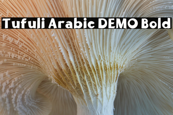 Tufuli Arabic DEMO Bold Example 1