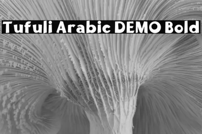 Tufuli Arabic DEMO Bold फ़ॉन्ट examples