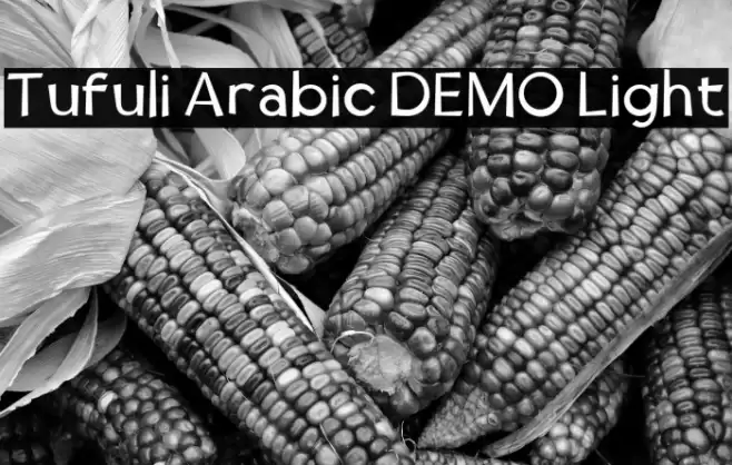 Tufuli Arabic DEMO Light خط examples